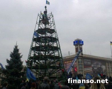 КГГА окончательно решила не устанавливать елку на Майдане в 2013 году