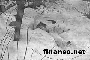 Беспорядки в Киеве спланированы заранее, а активистов убивают снайперы НАТО - депутат