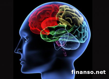 Ученые заявили, что "трепанация" черепа может в 7 раз ускорить работу мозга