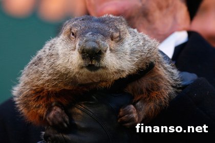 Приход весны в Казахстане предскажет электронный сурок