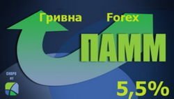 На фоне падения гривны доходность ПАММ-счетов растет на 5,5% в неделю