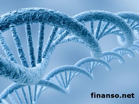 Учеными создан новый метод редактирования генома стволовых клеток