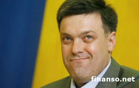 Тягнибок провел встречу с делегацией НАТО