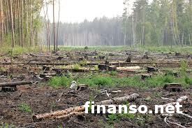 Депутаты ВР Украины приняли закон Януковича, позволяющий вырубать и застраивать заповедники