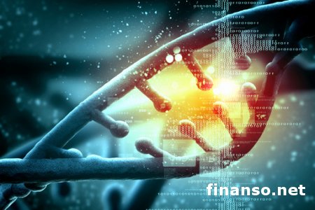 Учеными создан живой организм содержащий искусственную ДНК