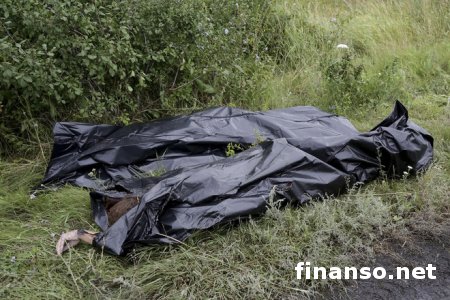 192 жертв катастрофы "Боинга" пытаются вывезти из Донетчины