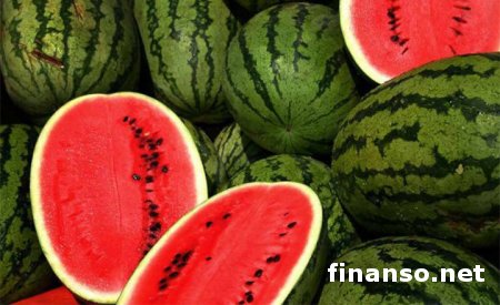 В скором времени из арбузов начнут делать топливо