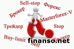 Названы десять самых необычных запросов граждан России о «системах Forex»