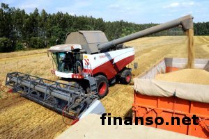 МВФ требует от Украины максимально приблизить режим уплаты аграриями НДС к общему режиму