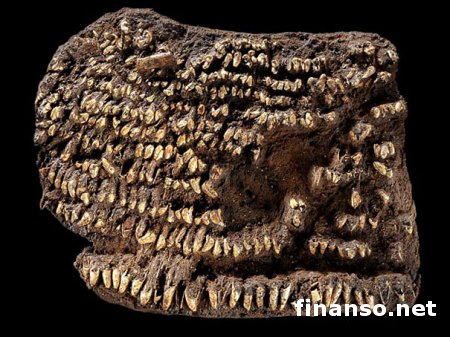 16 изобретений древности, которыми человечество пользуется каждый день