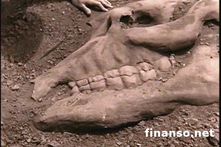 Археологи из Монголии обнаружили в пустыне туши и яйца динозавра