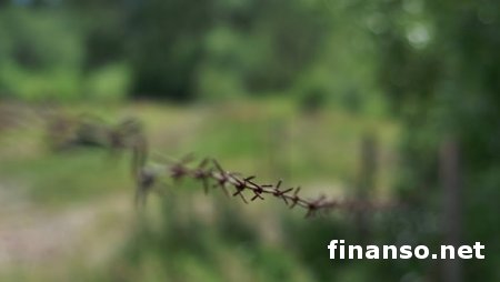 Россия стягивает вооруженные силы к украинскому пограничному пункту «Красная Таловка»