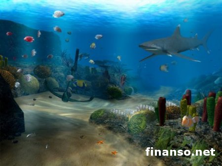 Ученые: на дне Тихого океана найдены новые формы жизни