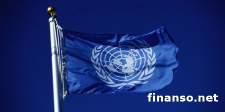 ООН: за время противостояния на Донбассе погибло 4035 человек