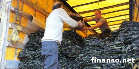 ВСУ получили помощь от 13-ти стран мира