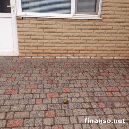 Неизвестные пытались взорвать дом комбата «Кривбасс»