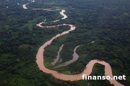 В джунглях Гондураса археологи обнаружили следы неизвестной цивилизации - «Белый город» золота