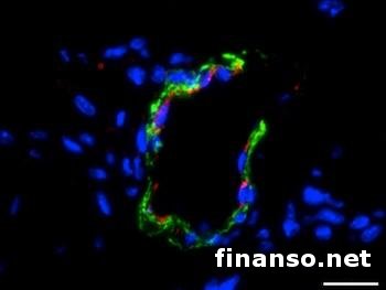 Ученый рассказал, что происходит с душой человека после смерти