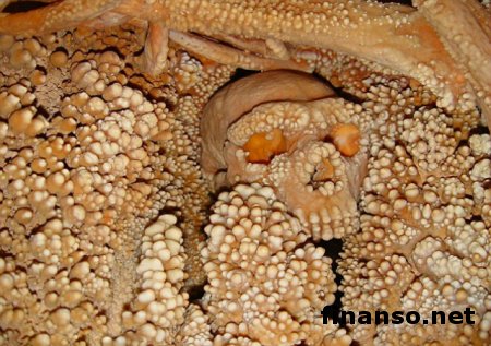 Ученые получили древнейший в мире образец ДНК неандертальца 