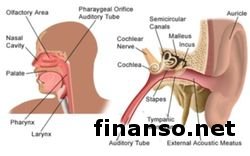 Названы ТОП-60 популярных в РФ препаратов от насморка
