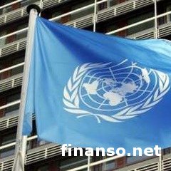 ООН выделит средства переселенцам из Донбасса для развития бизнеса