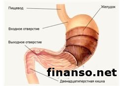 Известен ТОП популярных в РФ препаратов для лечения желудка 
