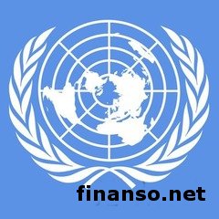 ООН раздает деньги жителям Донбасса, пострадавшим от российской агрессии