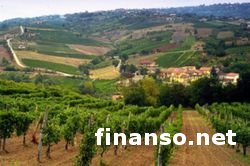 В Италии дорожают виноградники 