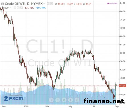 Убытки нефтесферы Эквадора не поменяют политику ОПЕК 