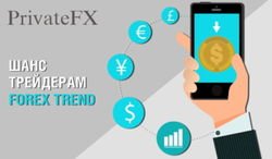 Р. Караулов: что известно об управляющем партнере PrivateFX 