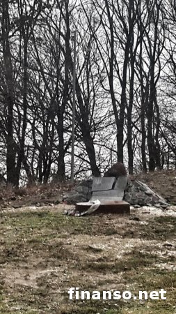 Под Ровно уничтожили стелу памяти Сашку Белому