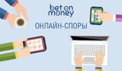 Betonmoney: инвесторы на онлайн-спорах получают 80% годовых