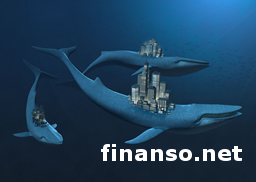 SFX Trade Leaders Pro – «командная» платформа для трейдеров