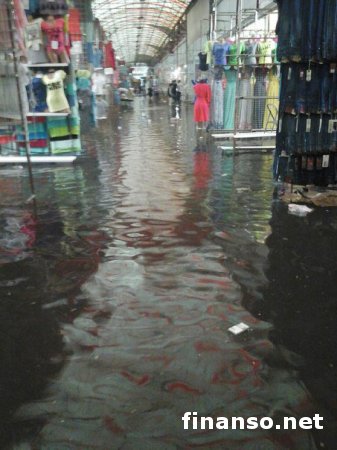 По Харькову пронесся ураган: затоплены улицы и свалены деревья