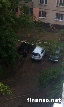 По Харькову пронесся ураган: затоплены улицы и свалены деревья