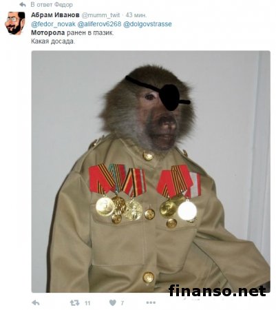 Довоевался: Моторола получил серьезное ранение в глаз и был вывезен в Питер