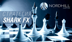 Shark FX – одна из лучших стратегий от Nordhill Capital
