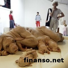 В Минздраве США хотят разрешить скрещивать людей с животными