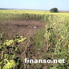 Боевики стреляют по силам АТО из реактивных установок «Град-П» – ОБСЕ