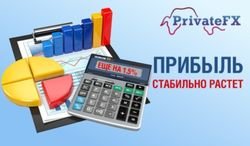 Инвестиционный портфель «PrivateFX № 1» за семь дней «потяжелел» еще на 1,5%
