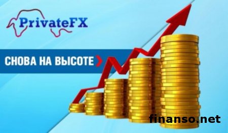 Инвестиционный портфель «PrivateFX № 1» в очередной раз подвергся испытаниям