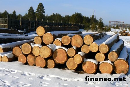 В ЕС высказались на счет моратория на вывоз дерева из Украины