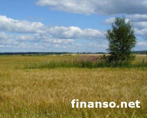 Свободная продажа земли восстановит историческую справедливость