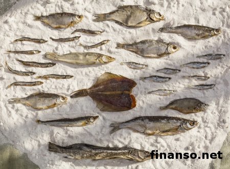 В стране распространяется ботулизм: жертвы отравления появились в 3-х областях