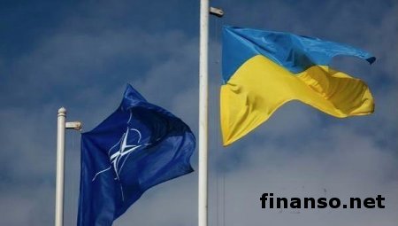 Альянс прокомментировал желание Украины вступить в НАТО