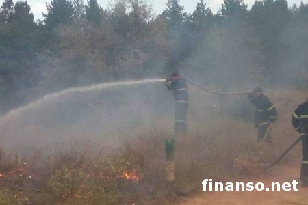 В трех областях  страны  -   лесные пожары, спасателями они  локализованы