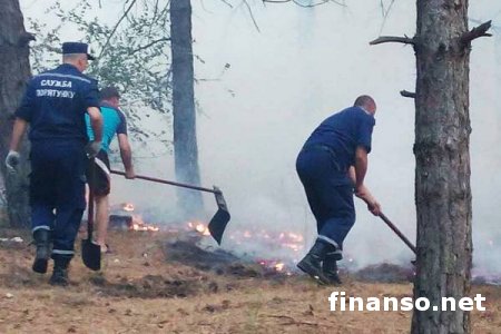 В трех областях  страны  -   лесные пожары, спасателями они  локализованы