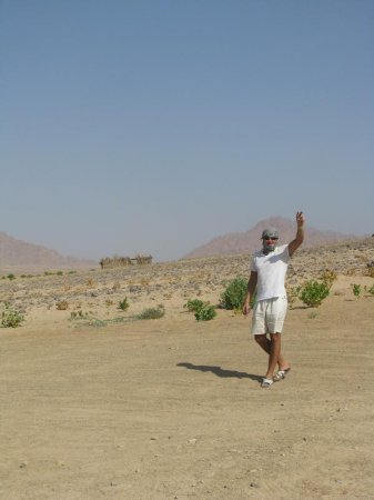 Успехи форекса: отзыв от трейдера Велтрейд