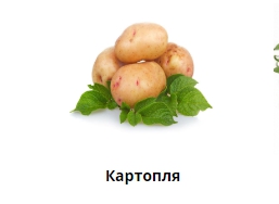 Яке насіння картоплі краще
