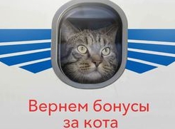 Как Alpari Cashback озолотила Галина